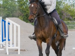 IMG-0500_web